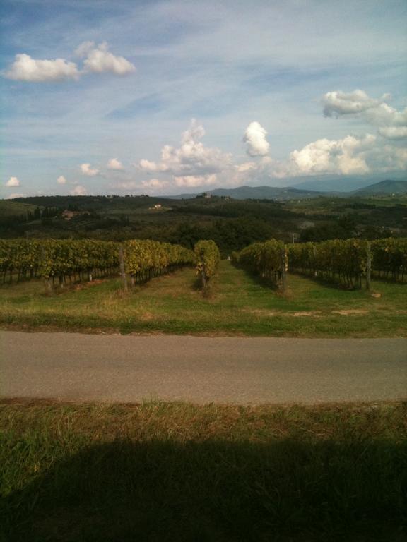 Winery Houses In Chianti Mercatale Val Di Pesa Rom bilde