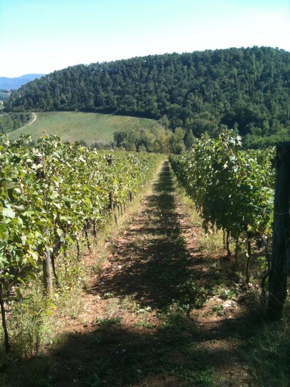 Winery Houses In Chianti Mercatale Val Di Pesa Rom bilde